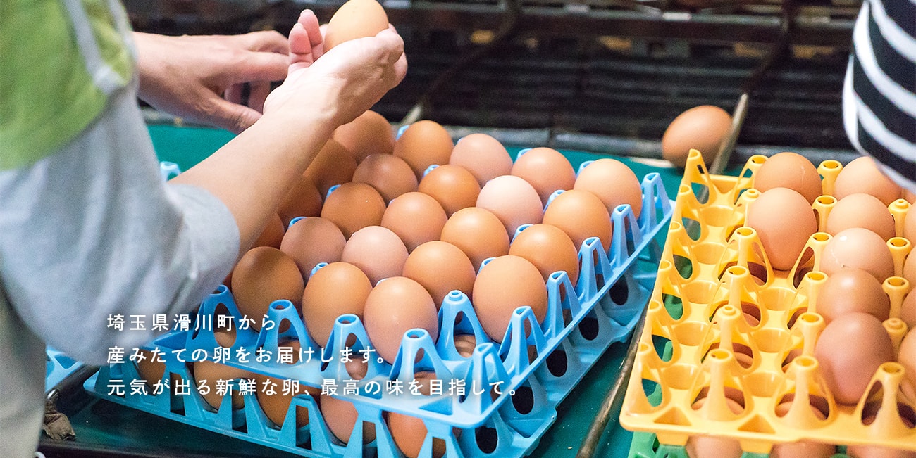 埼玉県滑川町から
産みたての卵をお届けします。
元気が出る新鮮な卵、最高の味を目指して。