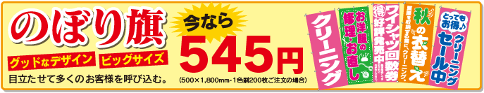 ��Ω������¿���Τ����ͤ�Ƥӹ��ࡡ�Τܤ����545�ߤ���