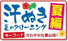 ���̤����꡼�˥󥰤���¥�ġ��롡����