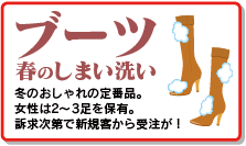 �֡��ĥ��꡼�˥󥰤���¥�ġ���