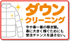 �����󥯥꡼�˥󥰤���¥�ġ���