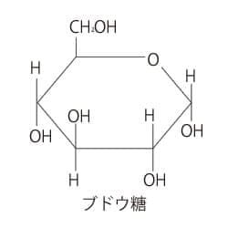 ショ糖の化学構造（ブドウ糖）