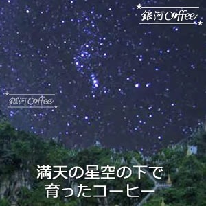 星山のコーヒー栽培場所のイメージ