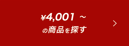 4,001円以上の商品を探す