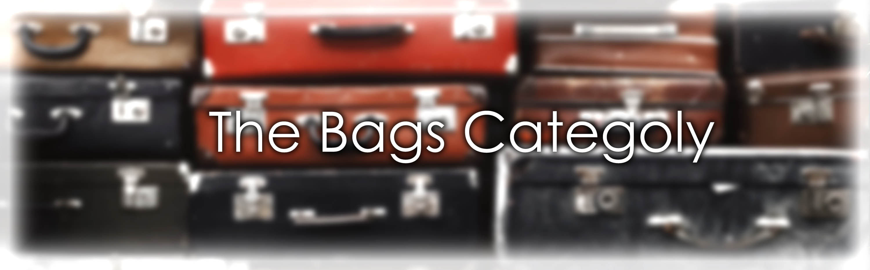 Bags Category