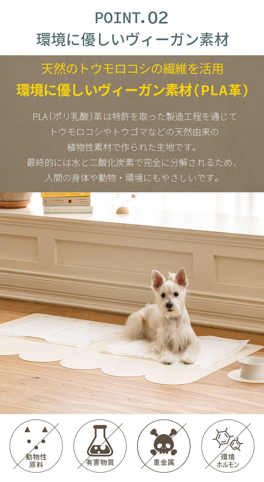 天然のトウモロコシの繊維を活用