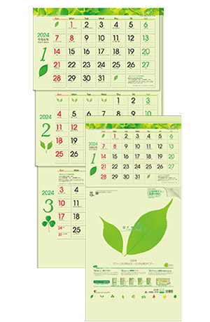 グリーン3ヶ月eco<br />-上から順タイプ-カレンダー