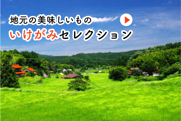 �ϸ����ɤ����