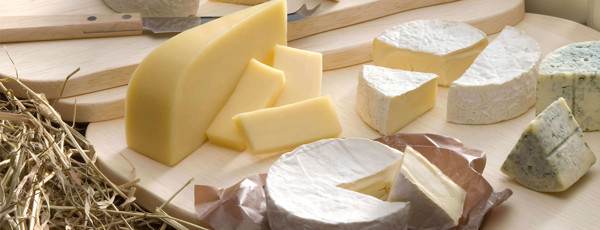 新札幌乳業のチーズ