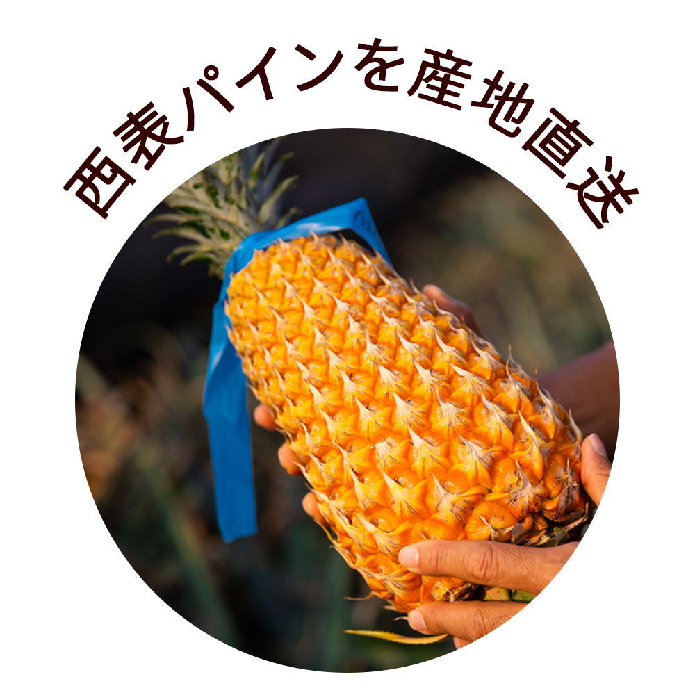 ɽѥɥե