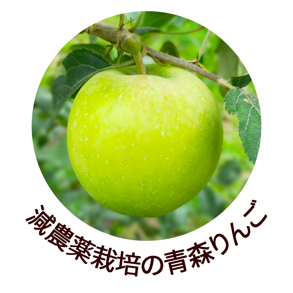 桼ȥ꡼ե