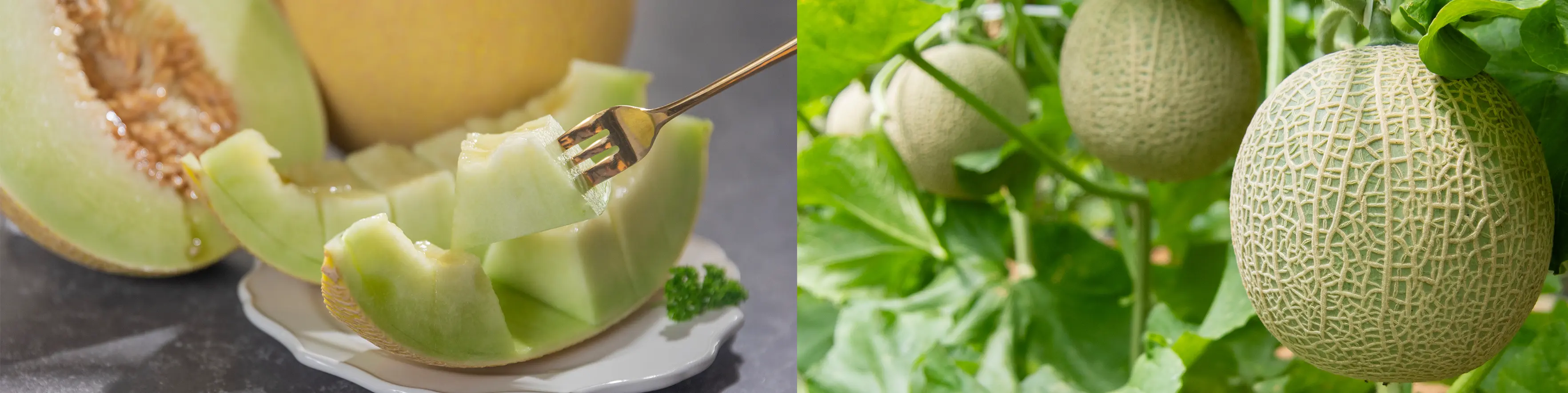 ����Ⱦ������ޥ륷��