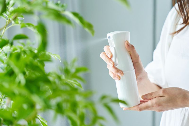 ���ץ졼���ͻ�