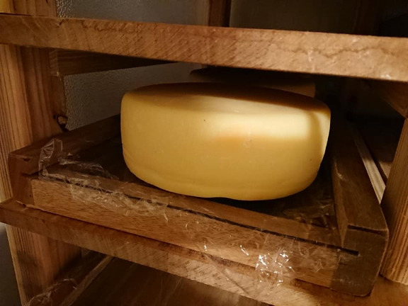 国産チーズ