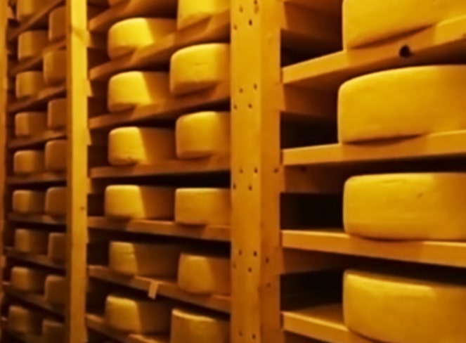 深化し提案するチーズ工房で作られたチーズ