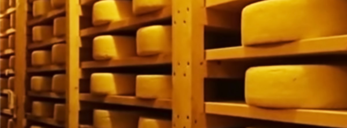 チーズ工房のチーズ