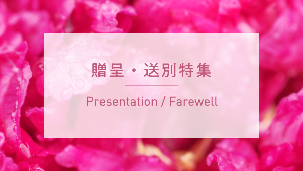 presentation £�衦�����ý�