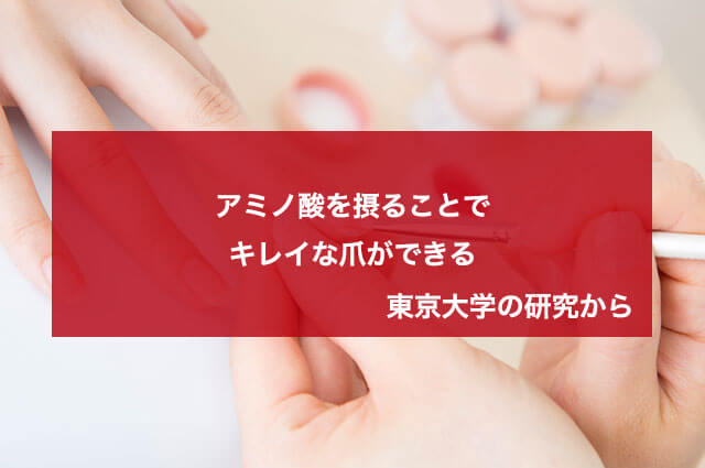 アミノ酸を摂ることでキレイな爪ができる【東京大学の研究から】