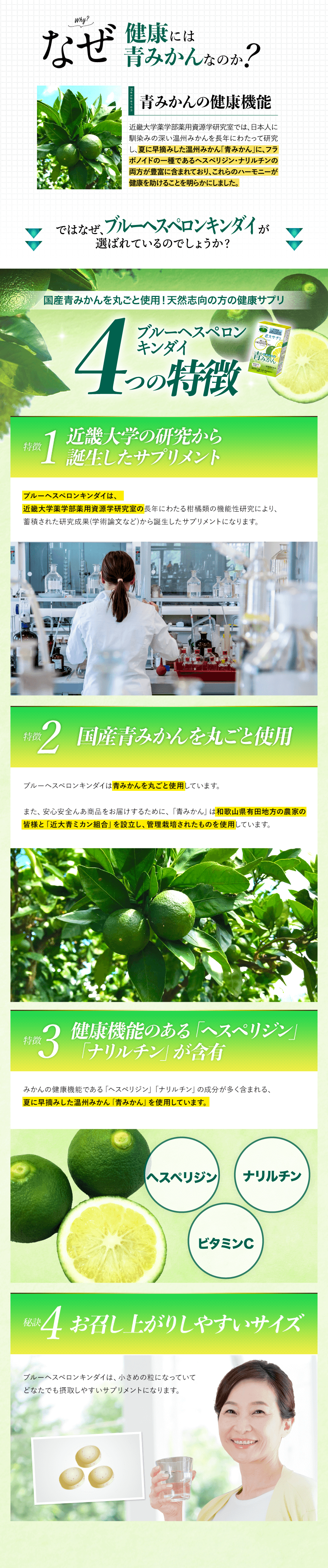 ֥롼إڥ ʸ2