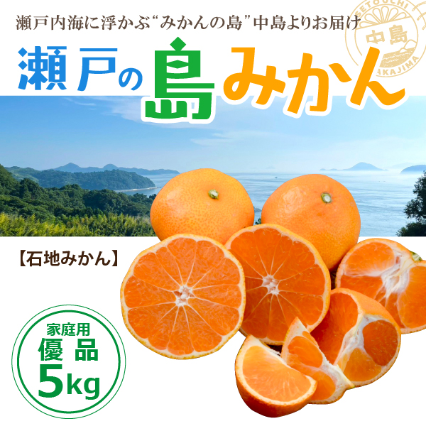 石地家庭用5?