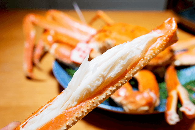 山陰鳥取から直送の松葉ガニ：ボイルの場合ふっくらとした蟹のムキミを手軽にすぐお召し上がり！