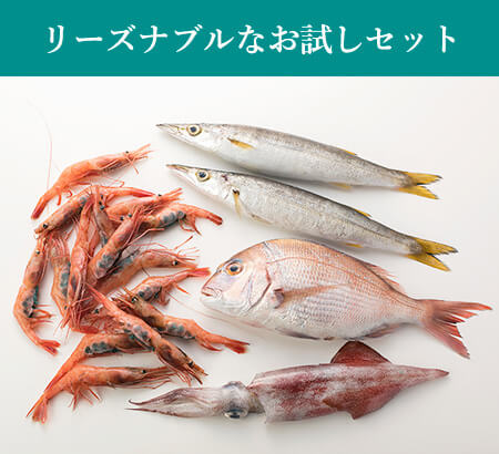 リーズナブルなお試しサイズ「旬」のお魚セットＳ:送料無料・即日発送