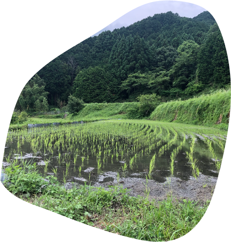 対談：農家と里山の自然、そして美味しい日本酒の未来のために - 農家 