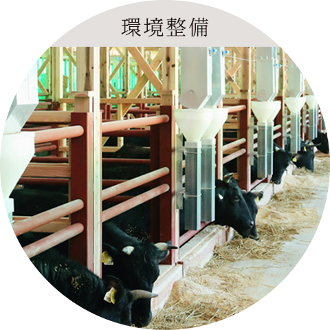 牛舎の衛生管理