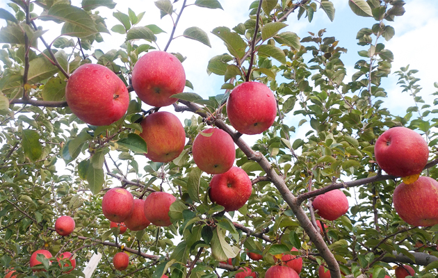 ����դ����ڤˤʤäƤ����ͻ�