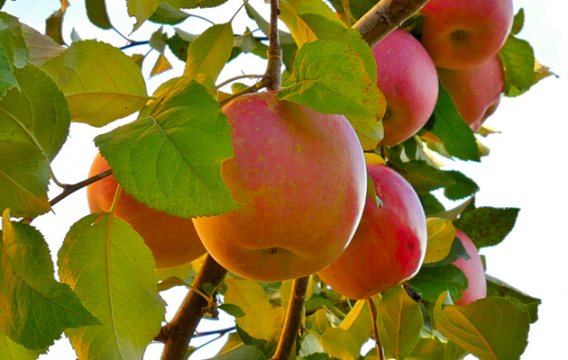 �դȤ餹����դ����᡼��