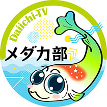 Daiichi-TV メダカ部 プレイリスト