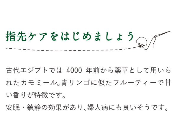 指先ケアをはじめましょう 古代エジプトでは4000年前から薬草として用いられたカモミール。青リンゴに似たフルーティーで甘い香りが特徴です。安眠・鎮静の効果があり、婦人病にも良いそうです。