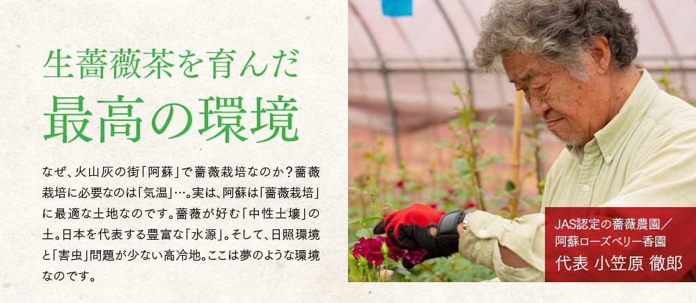 「生薔薇茶を育んだ最高の環境」なぜ、火山灰の街「阿蘇」で薔薇栽培なのか？薔薇栽培に必要なのは「気温」…。実は、阿蘇は「薔薇栽培」に最適な土地なのです。薔薇が好む「中性土壌」の土。日本を代表する豊富な「水源」。そして、日照環境と「害虫」問題が少ない高冷地。ここは夢のような環境なのです。 [JAS認定の薔薇農園／阿蘇ローズベリー香園 代表 小笠原 徹郎]