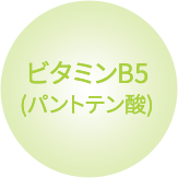 ビタミンB5(パントテン酸)