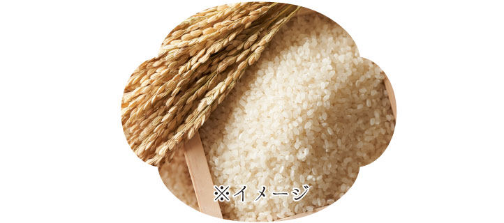 “山徳ファーム”の特別栽培米