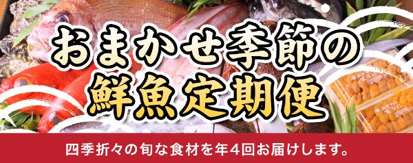 おまかせ季節の鮮魚定期便 四季折々の旬な食材を年4回お届けします。