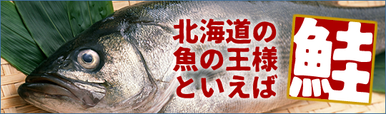 北海道の魚の王様【鮭】
