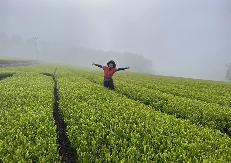 ͤʤʤȤ / ƥ顼ʤʤȤʺ츩