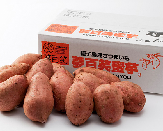 绺 Ǽ̴ɴ̪