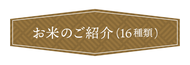 ƤΤҲ16
