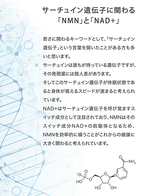 サーチュイン遺伝子に関わる「NMN」とNAD+。若さに関わるキーワードとして・・・