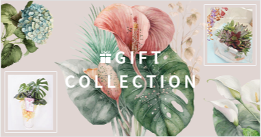 GIFT COLLECTION